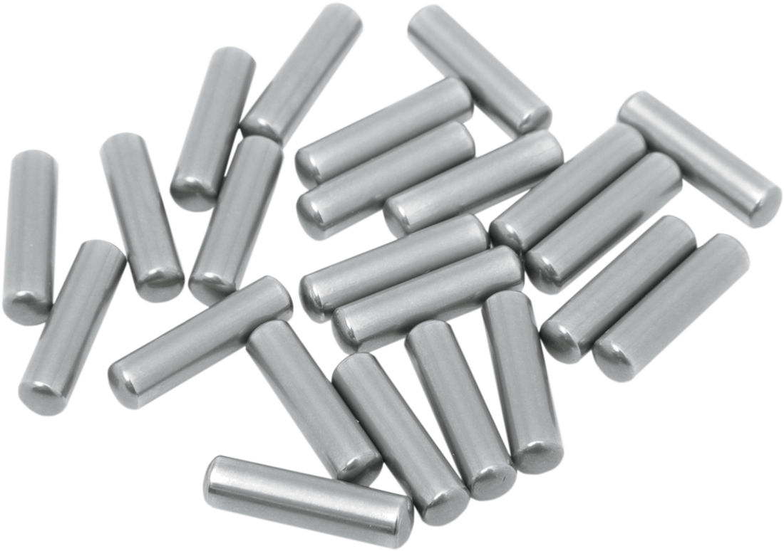 1106-0045 - EASTERN MOTORCYCLE PARTS Rollers - Main Shaft/Bushing - 23 Pack - '54-'84 Harley-Davidson A-9095-23