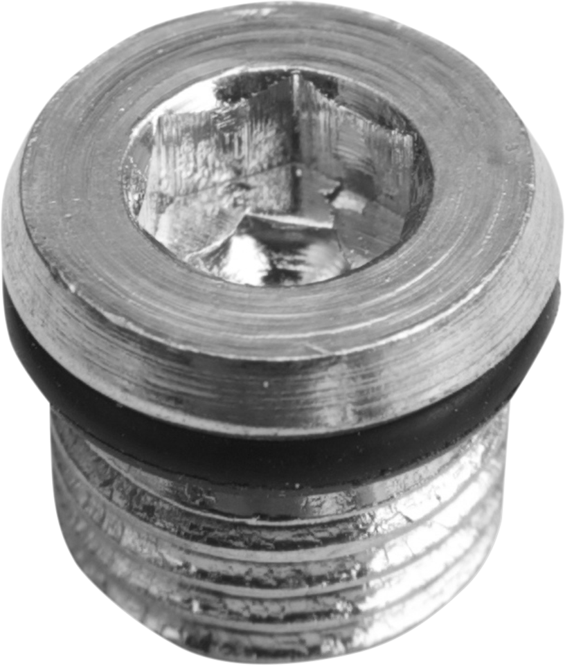 1107-0339 - DRAG SPECIALTIES Primary Plug - 5/16"-18 11-0298P