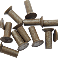 1112-0041 - EASTERN MOTORCYCLE PARTS Ratchet Plate Rivets - 12 Pack - '71-'79 Sportster A-8216