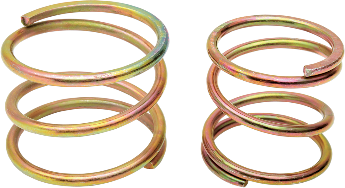 1131-1809 - EASTERN MOTORCYCLE PARTS Clutch Springs A-38080-SET