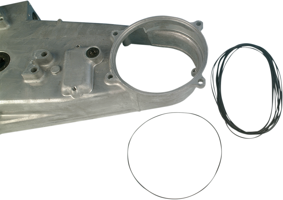 DS-174315 - JAMES GASKET Chain Housing Cover O-Ring JGI-11125