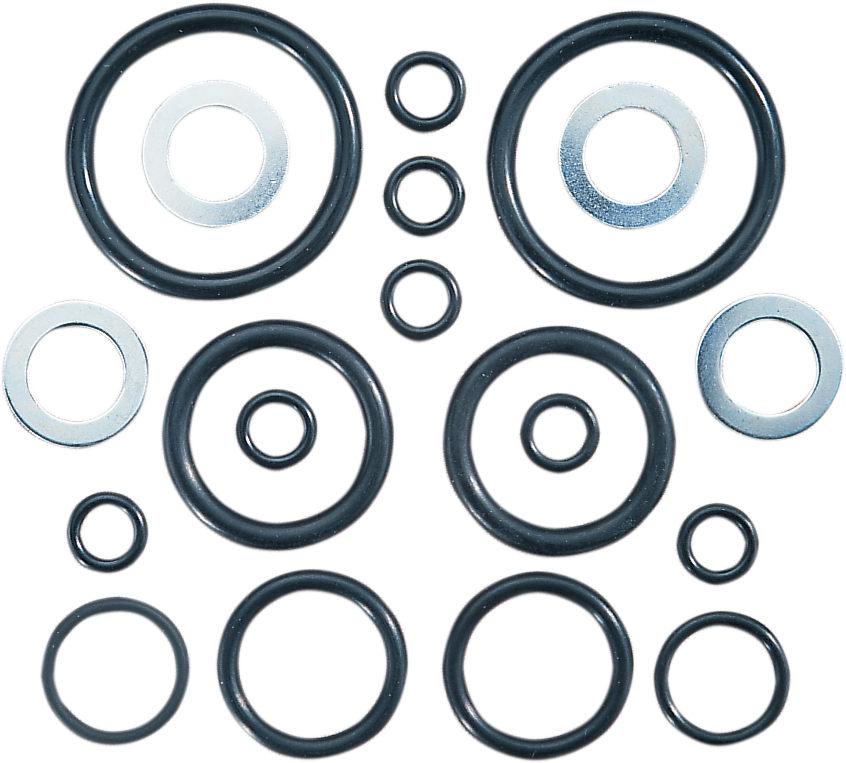 DS-174904 - JAMES GASKET Air Control O-Ring Kit JGI-45849-84-K