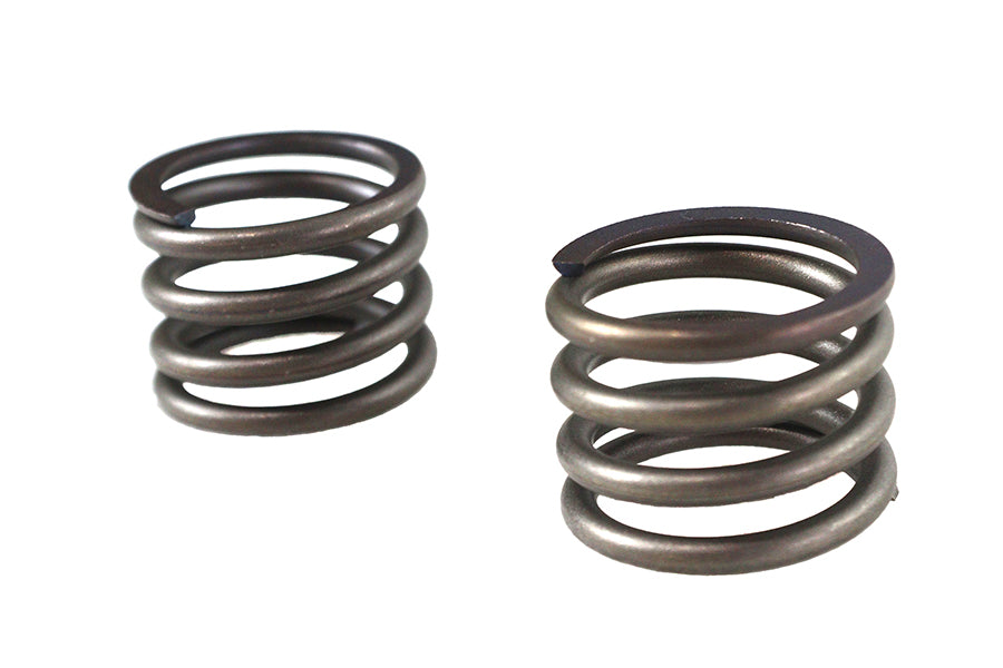 13-1945 - 41mm Fork Lower Damper Tube Spring Set by V-Twin