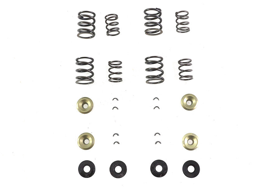 13-2110 - Valve Spring Kit by Kibblewhite