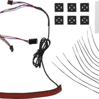 2010-1465 - CUSTOM DYNAMICS Taillight with Turn Signals - Red CD-FATBOY-R