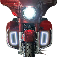 2020-1919 - CUSTOM DYNAMICS Lower Fairing Light Inserts CD-LF-AW-B