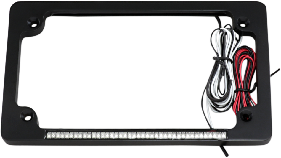 2030-0991 - CUSTOM DYNAMICS Dual License Plate Frame - Black TF02-B