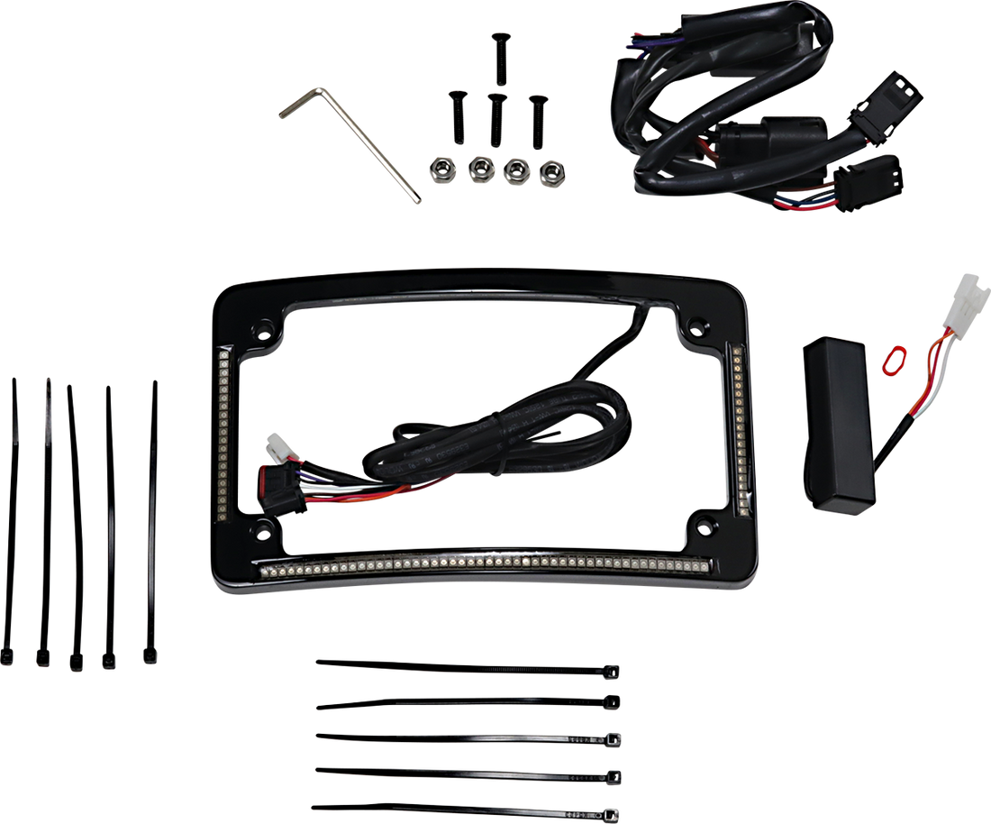 2030-1493 - CUSTOM DYNAMICS All in One License Plate Frame - Black TF05-SS6-B