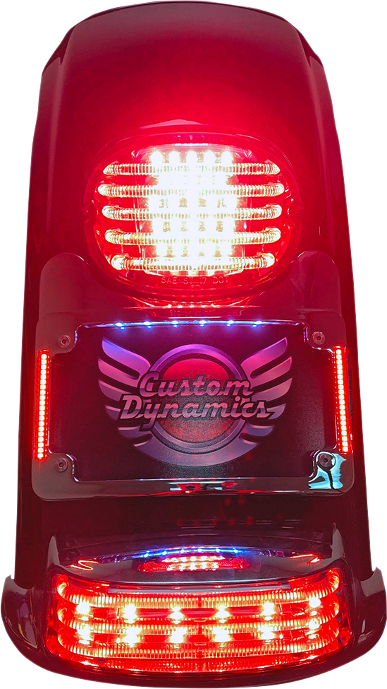 2030-1495 - CUSTOM DYNAMICS License Plate Frame/Turn Signal Eliminator - Black TS-ELIM-06BCM-B
