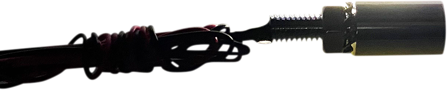 2030-1580 - CUSTOM DYNAMICS LED Tag Light - Black CD-TB-1-B