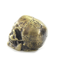 21-0780 - Skull Shifter Knob by V-Twin