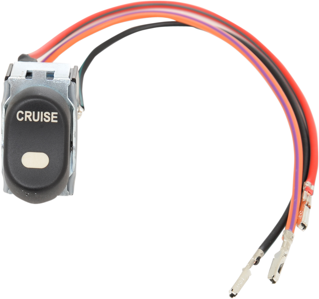 2106-0234 - DRAG SPECIALTIES Cruise Rocker Switch - '96-'13 FLT H18-0555