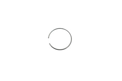 23-0594 - Piston Ring for Rear Brake Caliper by Edart