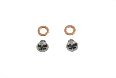 24-0011 - Fork Drain Screws by V-Twin