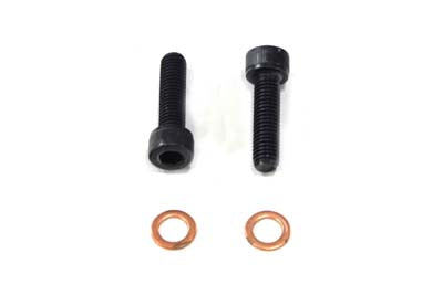 24-0787 - Fork Damper Tube Screw and Washer by V-Twin
