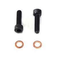 24-0787 - Fork Damper Tube Screw and Washer by V-Twin
