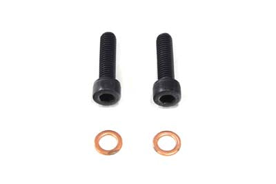 24-0787 - Fork Damper Tube Screw and Washer by V-Twin