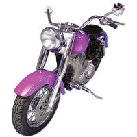 24-2019 - Fork Assembly with Polished Sliders by V-Twin