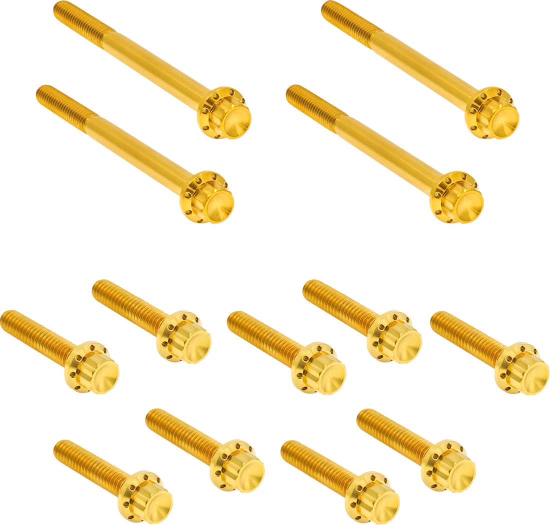 2401-1730 - ARLEN NESS Bolt Kit - Primary Cover - Titanium - 12-Point - FLT - Gold 300-928
