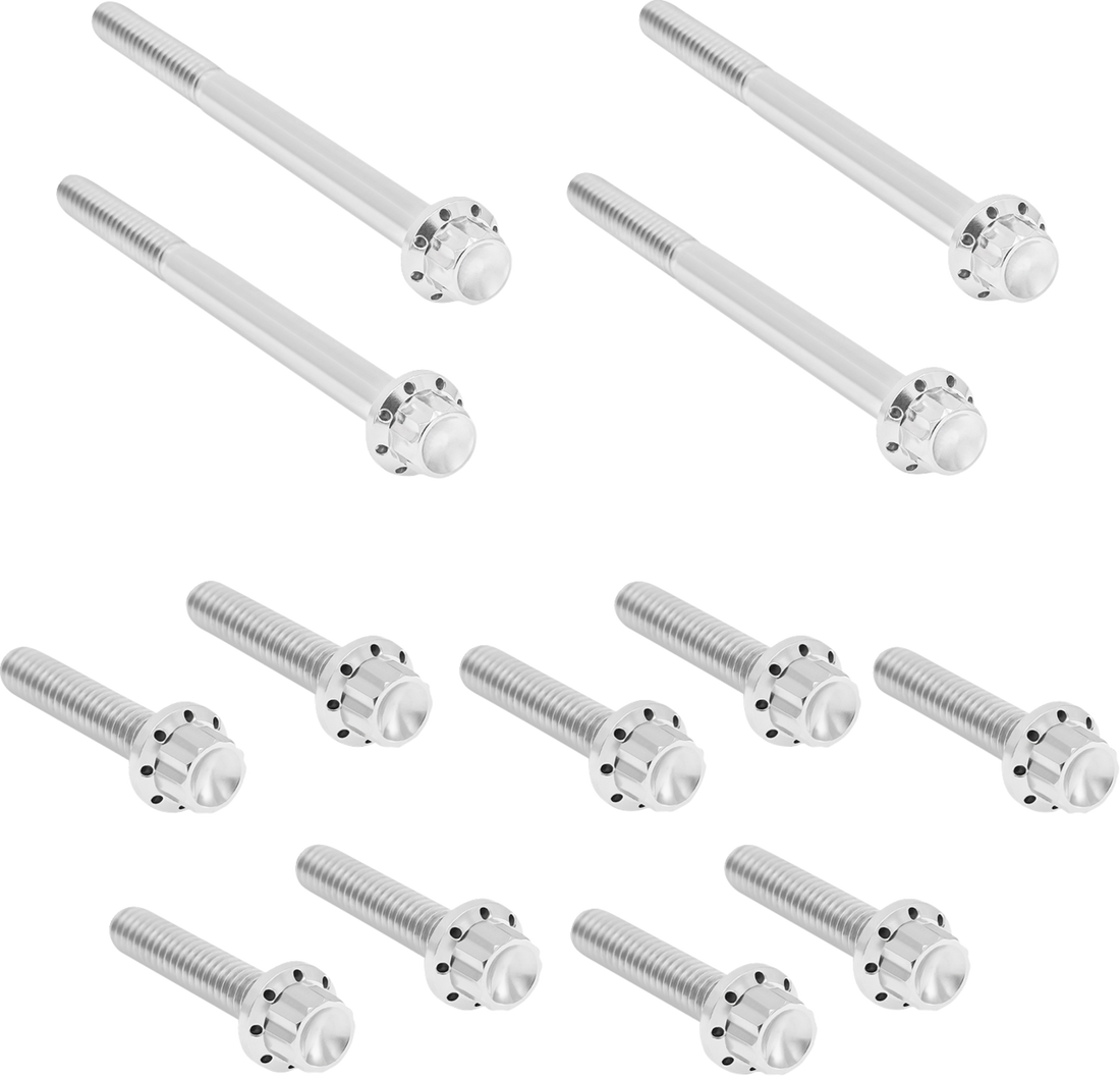 2401-1730 - ARLEN NESS Bolt Kit - Primary Cover - Titanium - 12-Point - FLT - Gold 300-928
