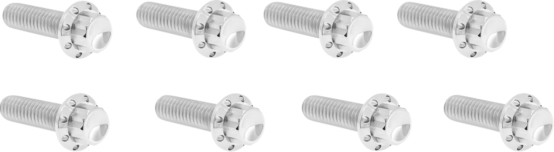 2401-1737 - ARLEN NESS Bolt Kit - Lifter Block - 12-Point - Titanium - Polished 300-935