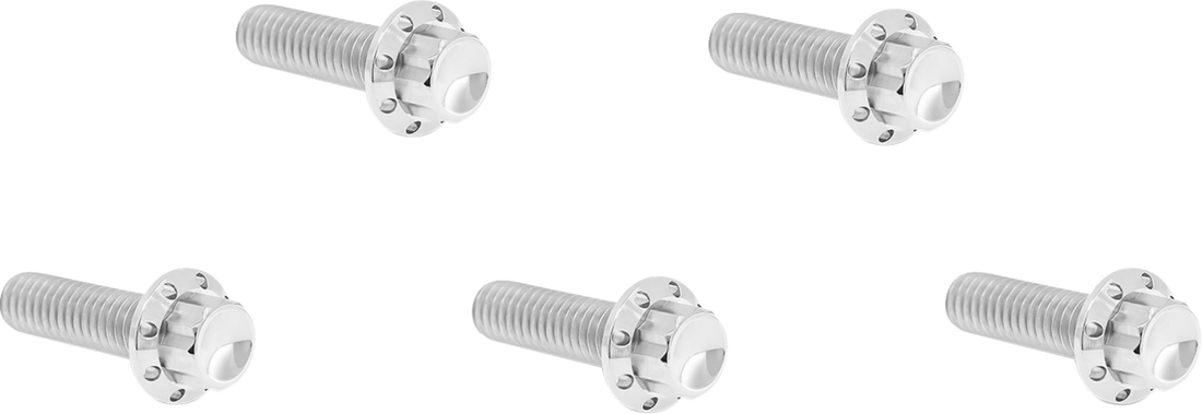 2401-1740 - ARLEN NESS Bolt Kit - Derby Cover - 12-Point - Titanium - Polished 300-938