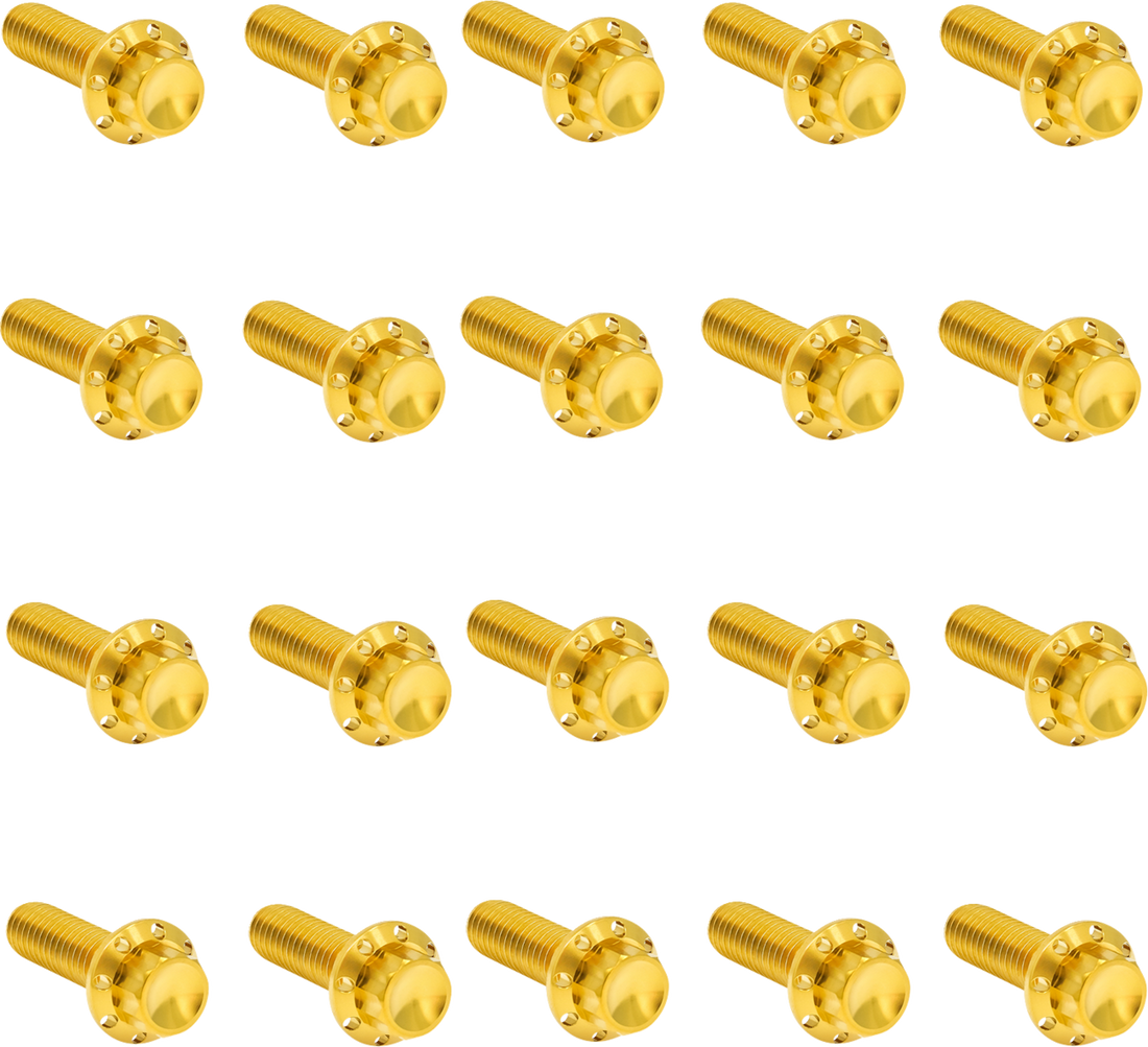2401-1745 - ARLEN NESS Bolt Kit - Rocker Box - 12-Point - Titanium - Gold 300-946