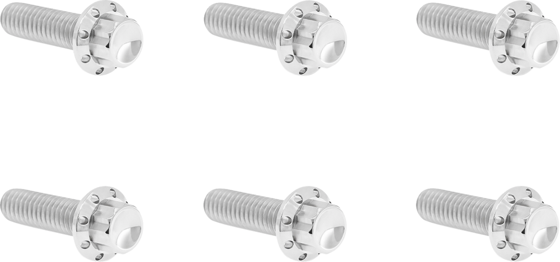 2401-1746 - ARLEN NESS Bolt Kit - Transmission Top Cover - 12-Point - Titanium - Polished 300-947
