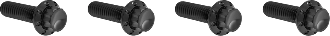 2401-1746 - ARLEN NESS Bolt Kit - Transmission Top Cover - 12-Point - Titanium - Polished 300-947