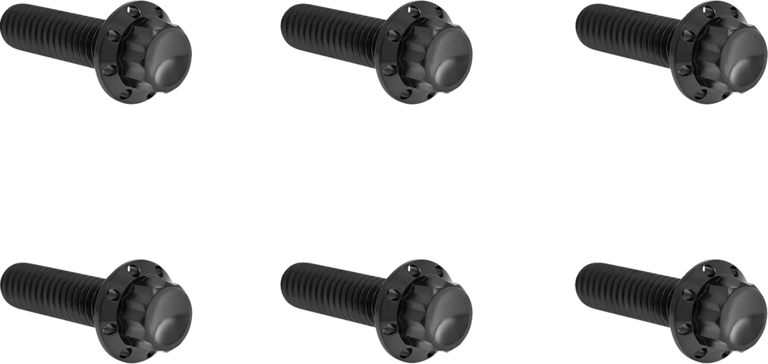 2401-1747 - ARLEN NESS Bolt Kit - Transmission Top Cover - 12-Point - Titanium - Black 300-948