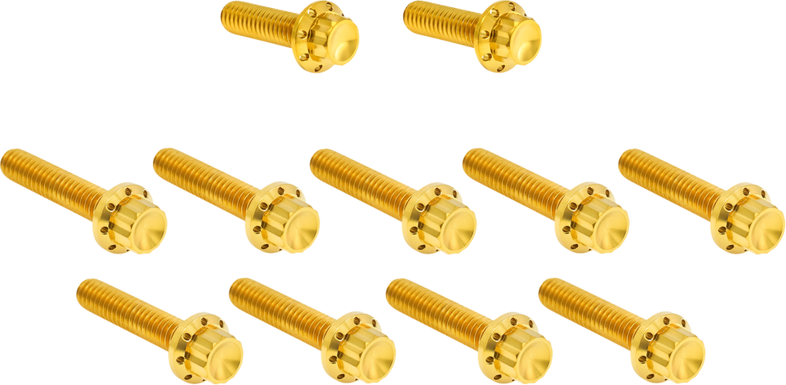 2401-1760 - ARLEN NESS Bolt Kit - Cam Cover/Point Cover - Titanium - 12-Point - Gold 300-982