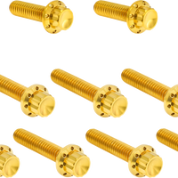 2401-1760 - ARLEN NESS Bolt Kit - Cam Cover/Point Cover - Titanium - 12-Point - Gold 300-982