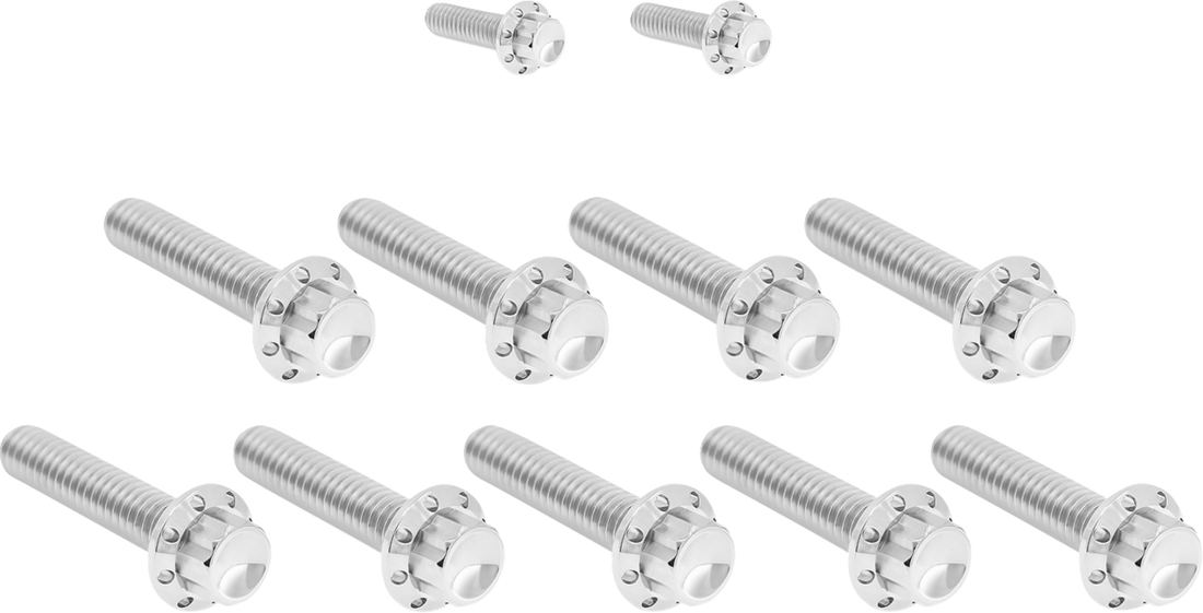 2401-1760 - ARLEN NESS Bolt Kit - Cam Cover/Point Cover - Titanium - 12-Point - Gold 300-982