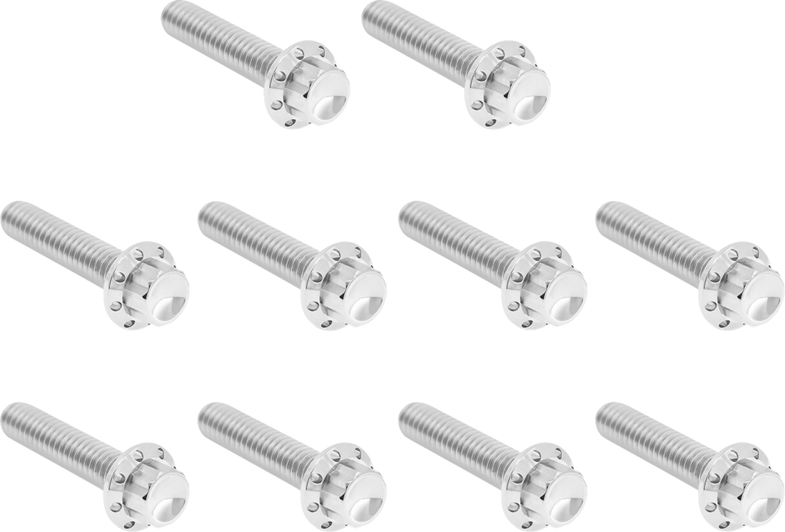 2401-1764 - ARLEN NESS Bolt Kit - Cam Cover/Point Cover - Titanium - 12-Point - Polished 300-986