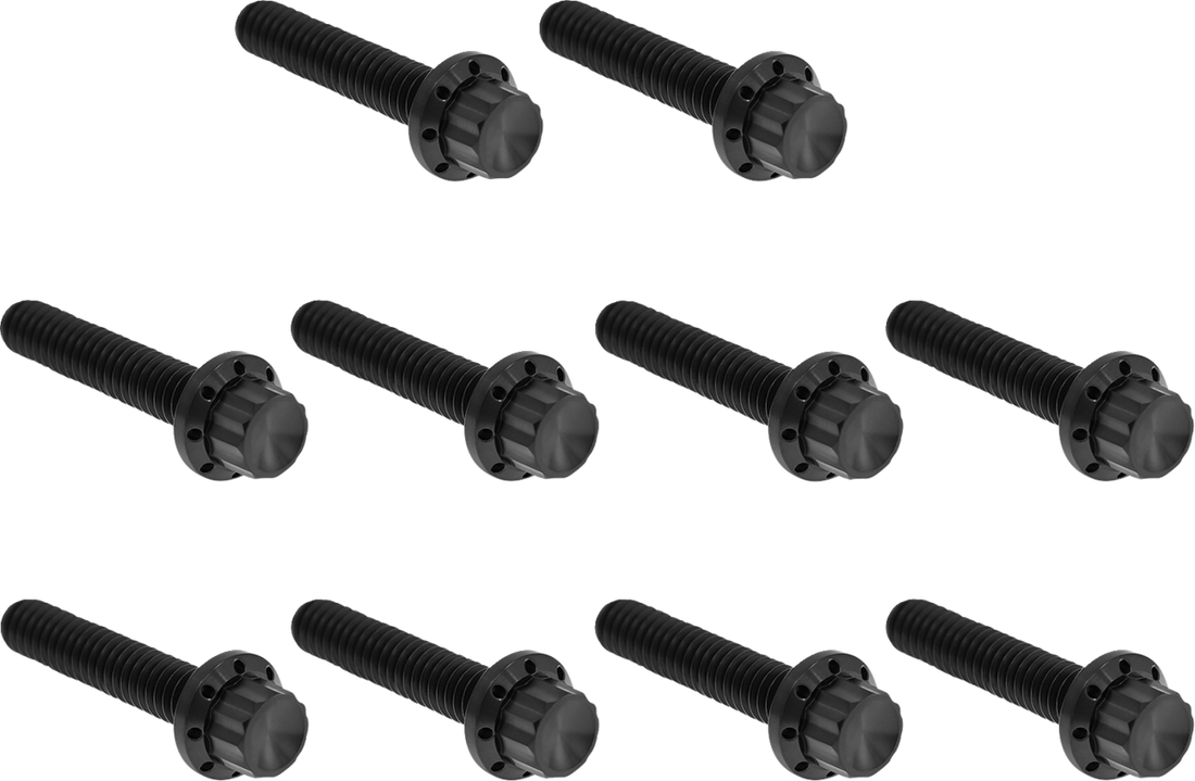 2401-1765 - ARLEN NESS Bolt Kit - Cam Cover/Point Cover - Titanium - 12-Point - Black 300-987