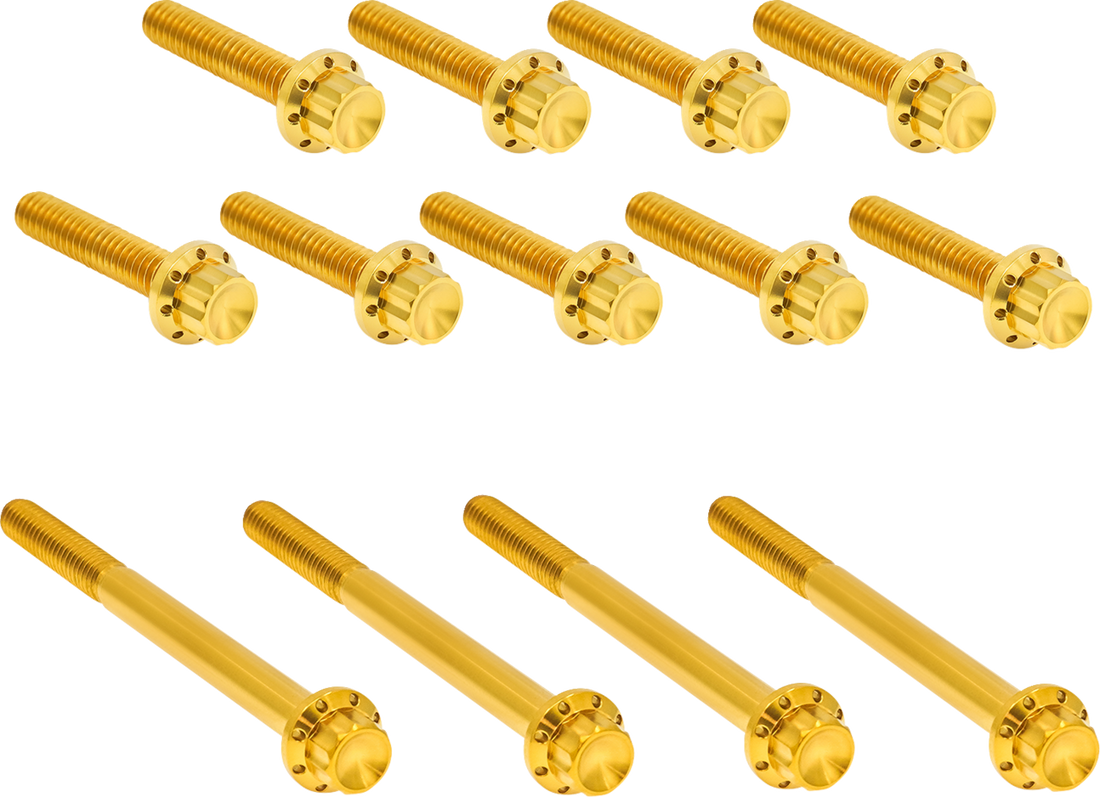 2401-1769 - ARLEN NESS Bolt Kit - Primary Cover - Titanium - 12-Point - Twin Cam - Gold 300-991