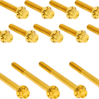 2401-1769 - ARLEN NESS Bolt Kit - Primary Cover - Titanium - 12-Point - Twin Cam - Gold 300-991