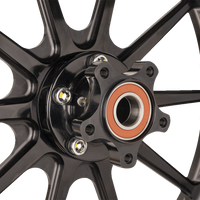 SLYFOX Wheel - Track Pro - Front - Dual Disc/without ABS - Black - 19x3 12027905RSLYAPB