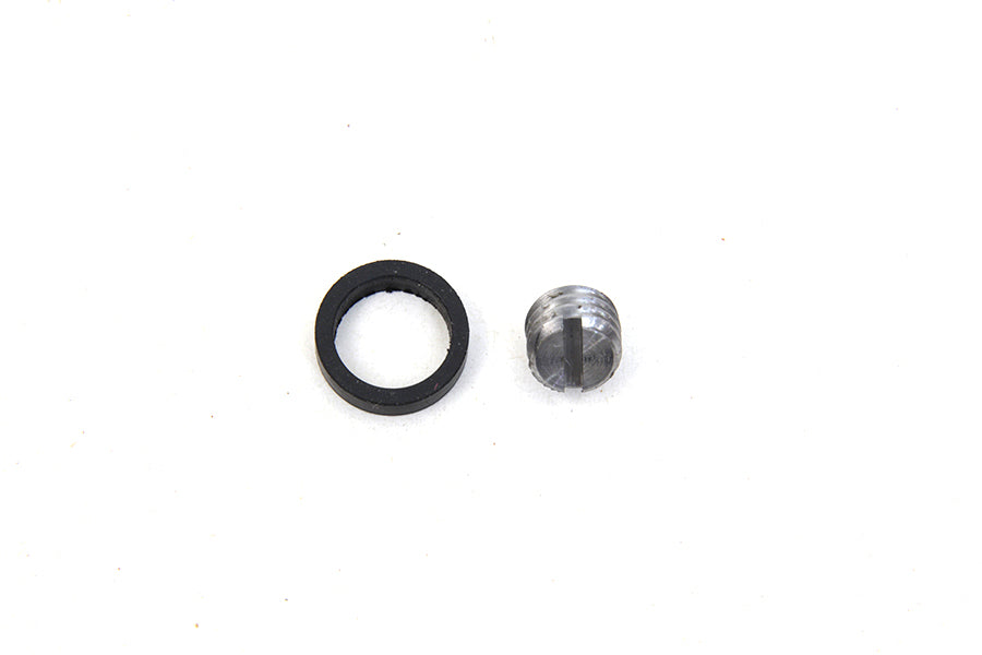 3116-2 - Shifter Fork Cam Shaft Lock Screw and Oil Seal Kit by Colony
