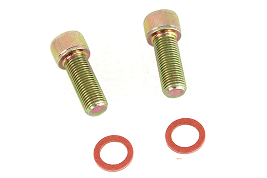 3318-4 - Damper Fork Tube Screw and Washer Kit Zinc Plated by Colony