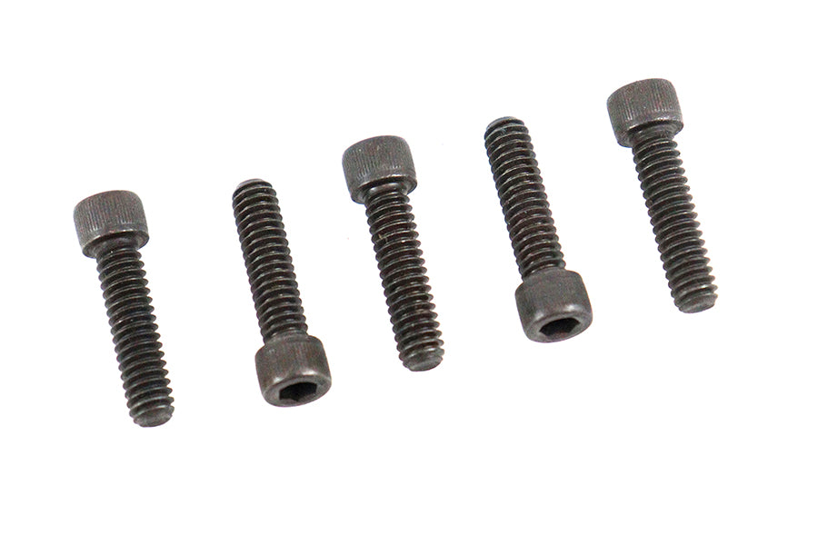 Allen Cap Screw Black 1/4 inch-20 x 3/4 inch