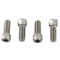 37-0860 - Fork Slider Cover Screw Set by V-Twin