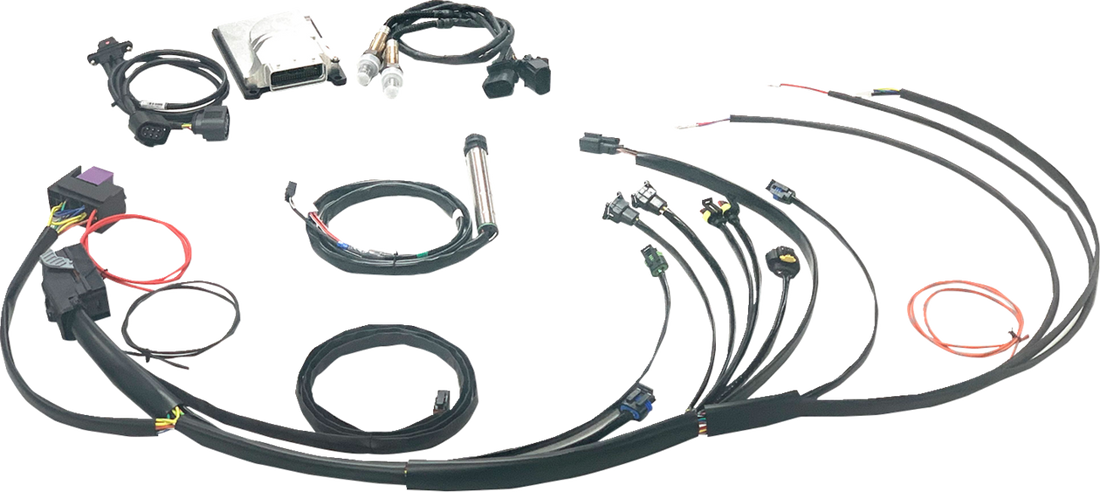 NAMZ Complete Stand-Alone EFI Engine Management System - Twin Cam N-EFI-01