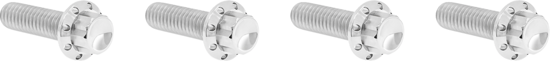 ARLEN NESS Bolt Kit - Transmission Top Cover - 12-Point - Titanium - Polished 300-977
