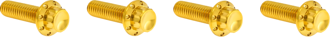 ARLEN NESS Bolt Kit - Transmission Top Cover - 12-Point - Titanium - Gold 300-979