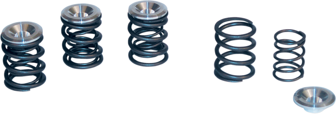 S&S CYCLE Valve Spring Kit - Big Twin 90-2053