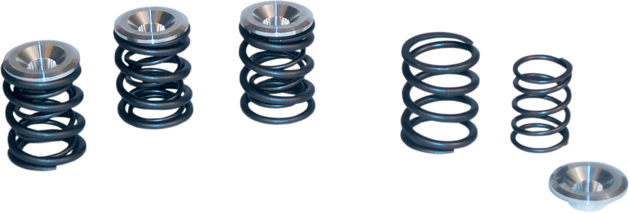 S&S CYCLE Valve Spring Kit - Big Twin 90-2053