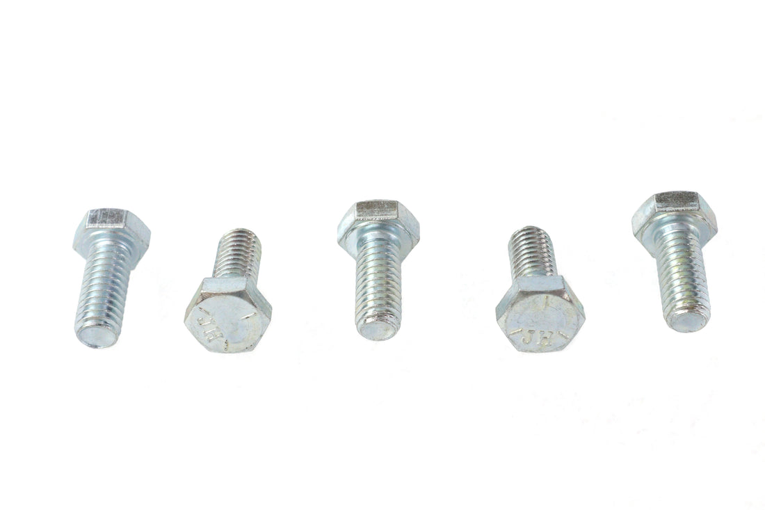 73-0019 - Hex Cap Bolts Zinc 5/16 -18 x 3/4 by V-Twin