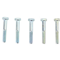 Zinc Hex Cap Bolts 5/16 inch-18 x 2 inch