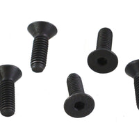 Allen Flat Head Screws Black 5/16 inch-18 x 1 inch